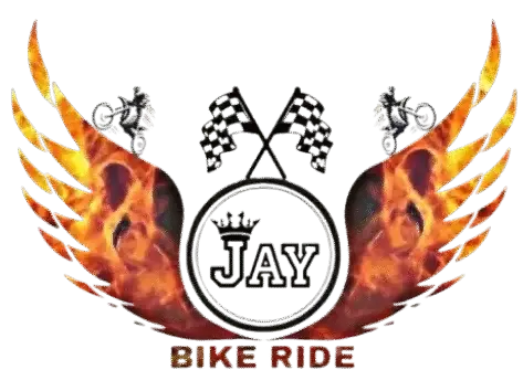 cropped 1001202015 removebg preview.png